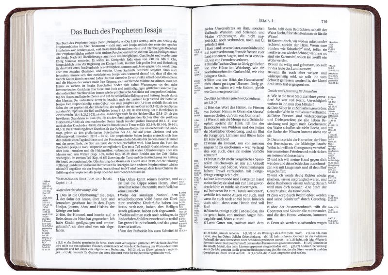 Schlachter 2000 - PU-Einband, grau/braun - Taschenausgabe